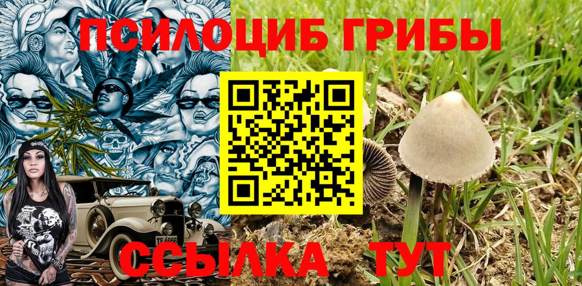 Галлюциногенные грибы Cubensis  Вход с VPN  Лабытнанги 